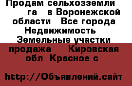 Продам сельхозземли ( 6 000 га ) в Воронежской области - Все города Недвижимость » Земельные участки продажа   . Кировская обл.,Красное с.